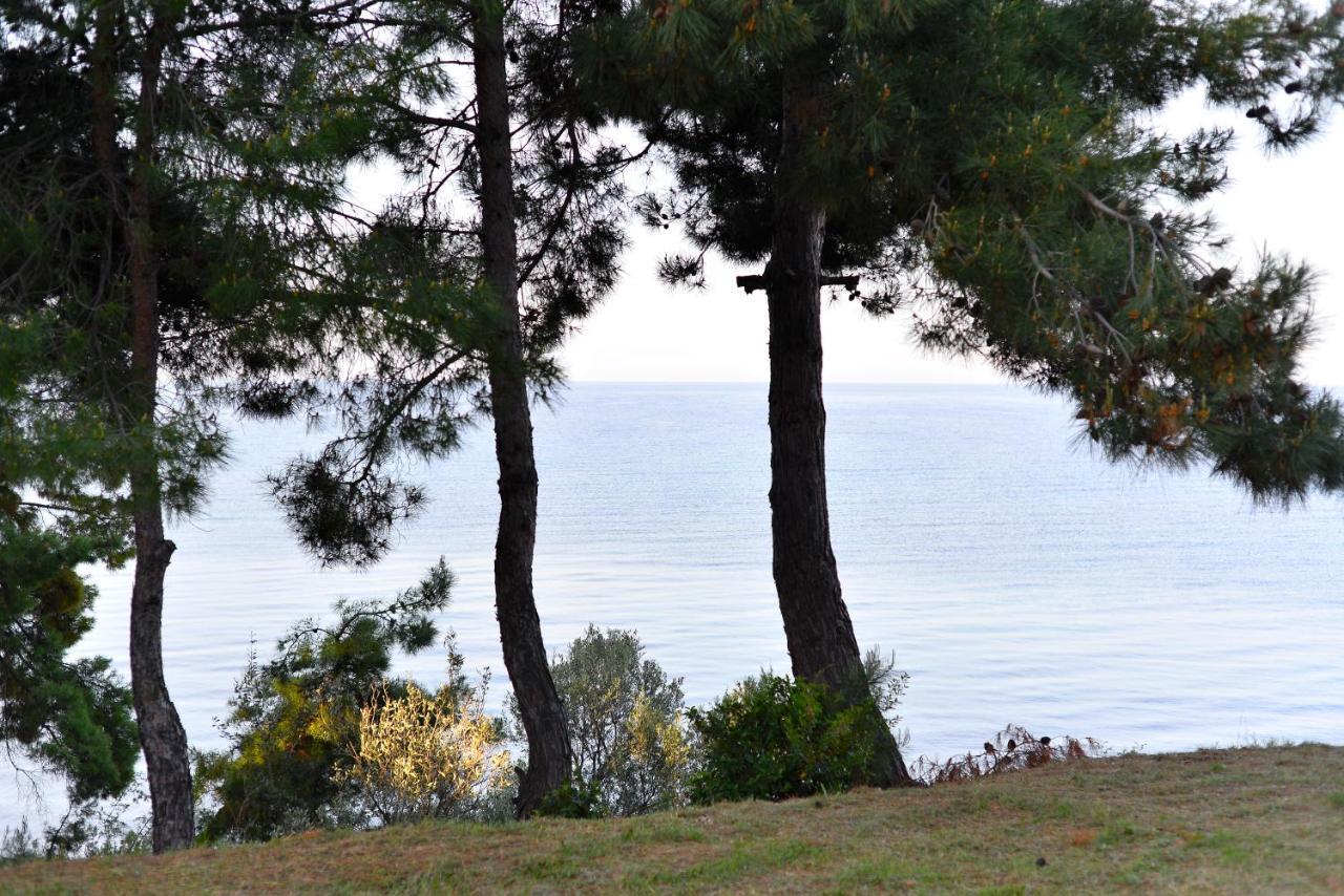 Summerday Villa Private Beach Nea Iraklia Buitenkant foto